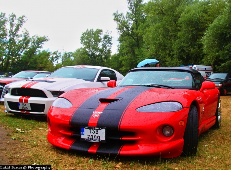 Viper and Mustang