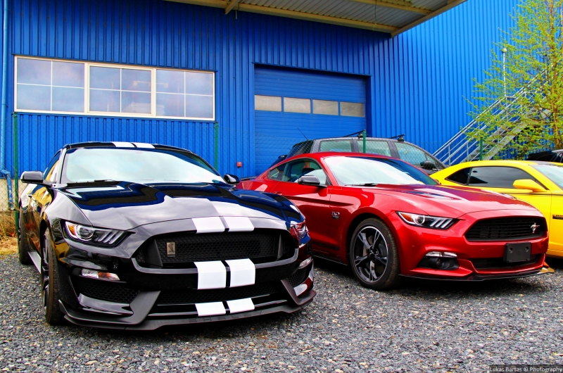 GT350 Shelby and California Special