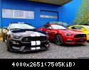 GT350 Shelby and California Special