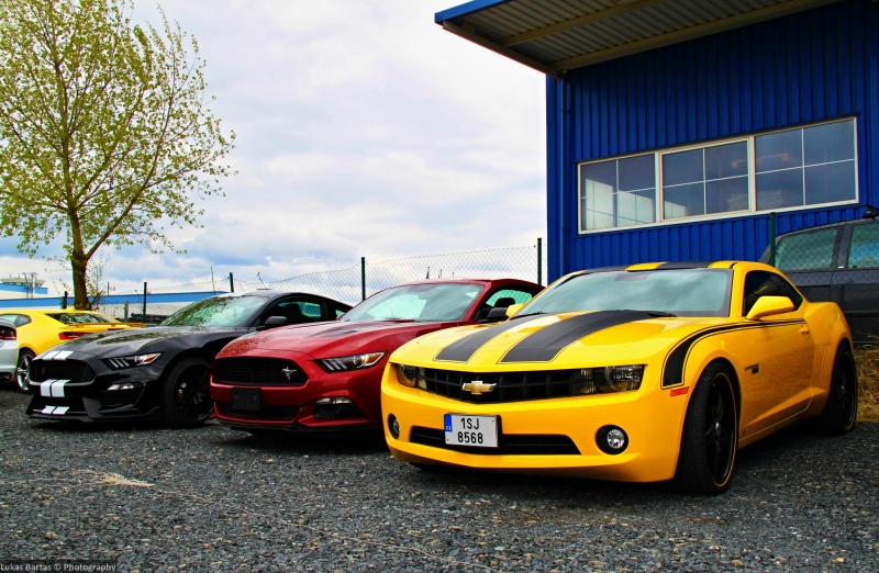 Muscle cars