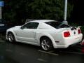 Ford Mustang ROUSH