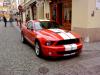 Shleby GT500